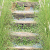 Ten step