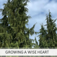 Wise heart
